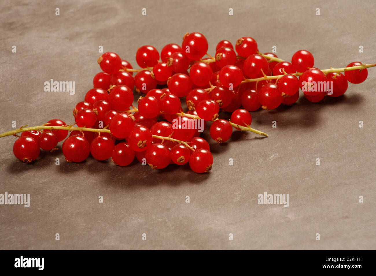 Redcurrants Stock Photo