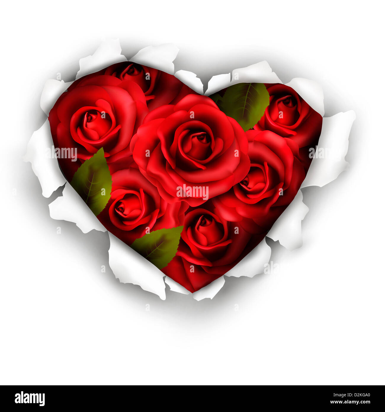 Valentine Heart Card Design. Red roses and ripped paper heart Stock ...
