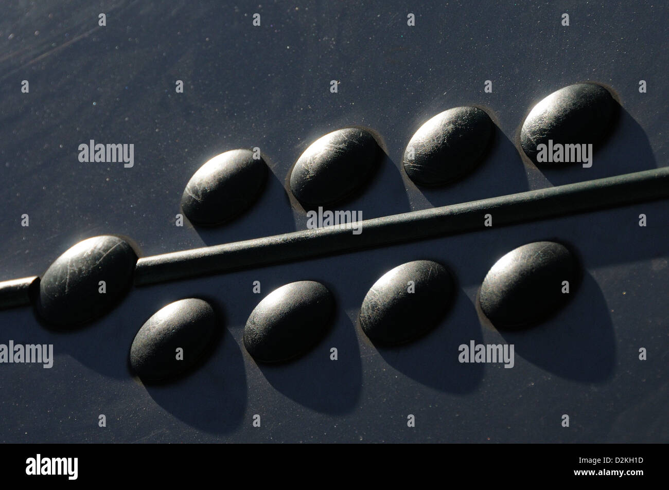 Dolphin detail hi-res stock photography and images - Alamy