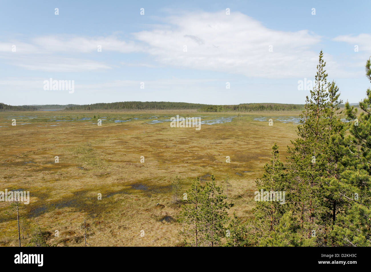 View across aapa mire and raised bog from Ulkkajoki bird watching tower, Reposuo, Finland Stock Photo