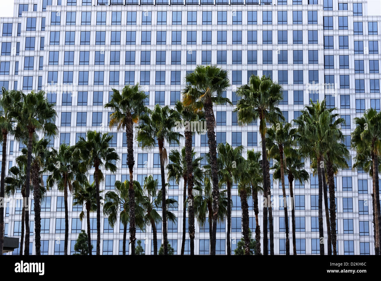 Modern Office Structure with Palm Trees Stock Photo