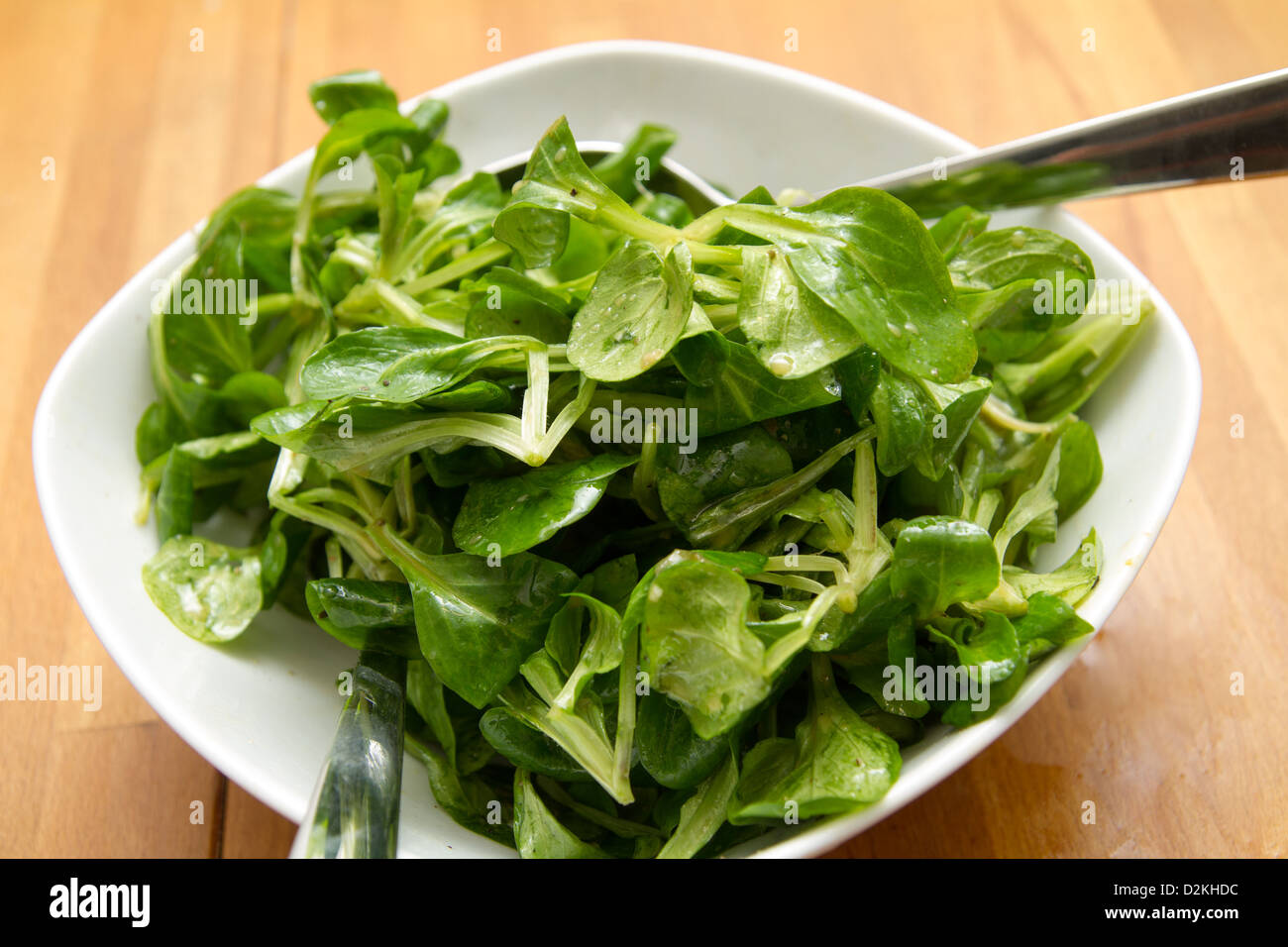 lettuce, corn salad, Stock Photo