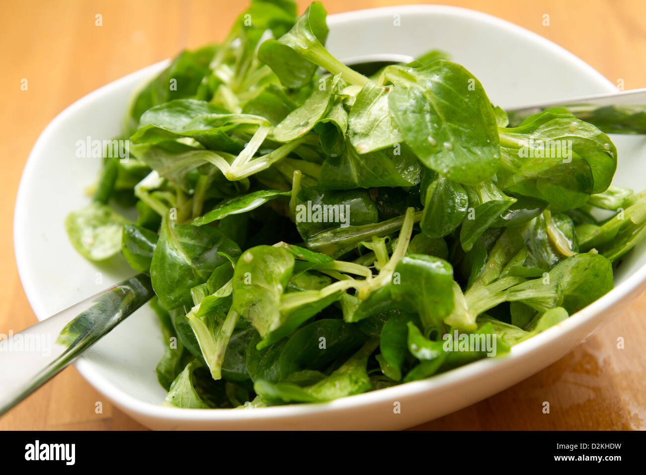 lettuce, corn salad, Stock Photo