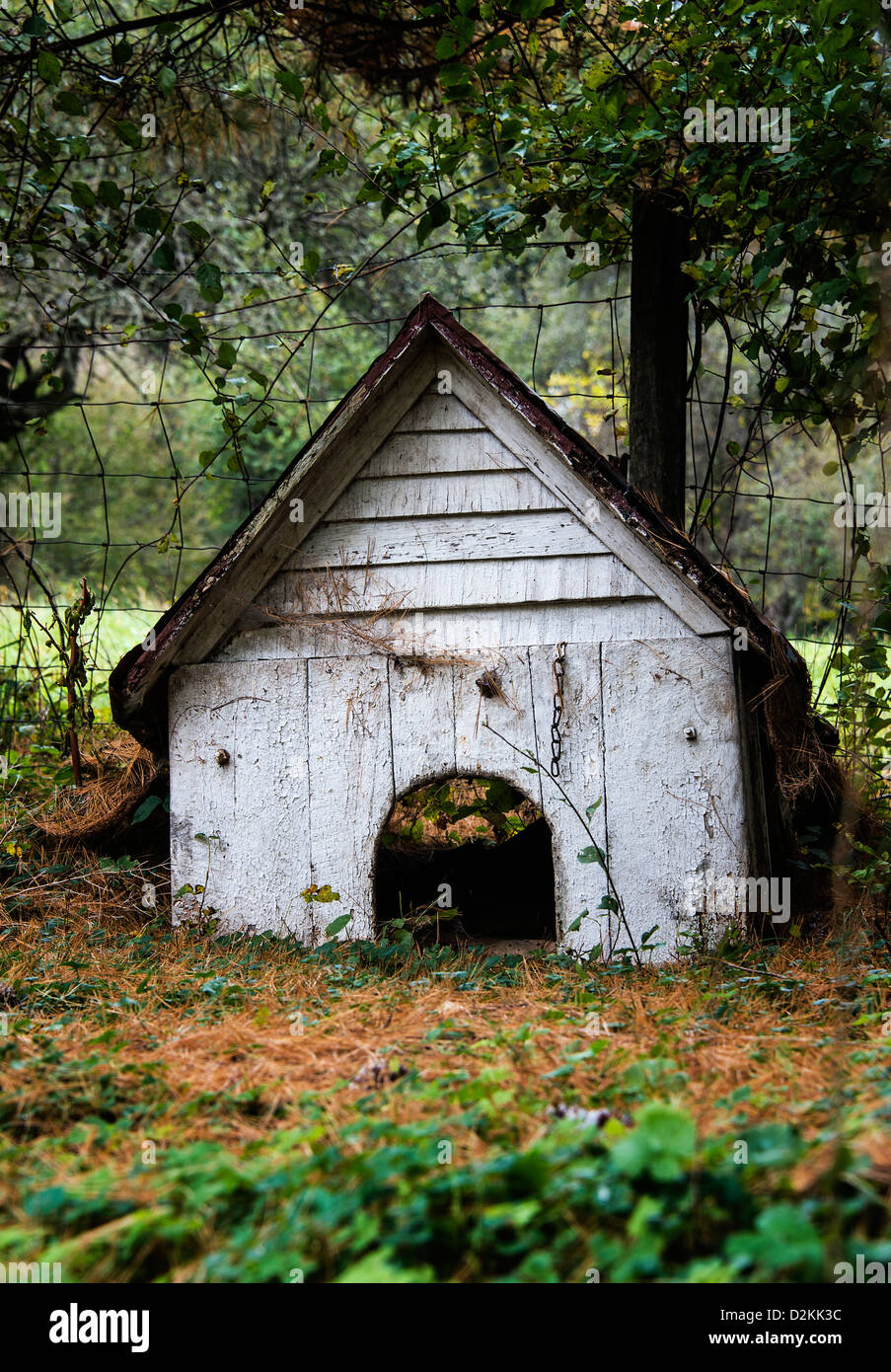 Old dog house. Stock Photo