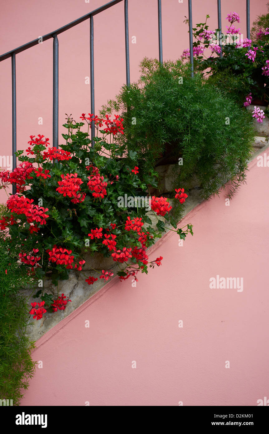 closeup of flowers sitting on steps, Limone Lake Garda Stock Photo