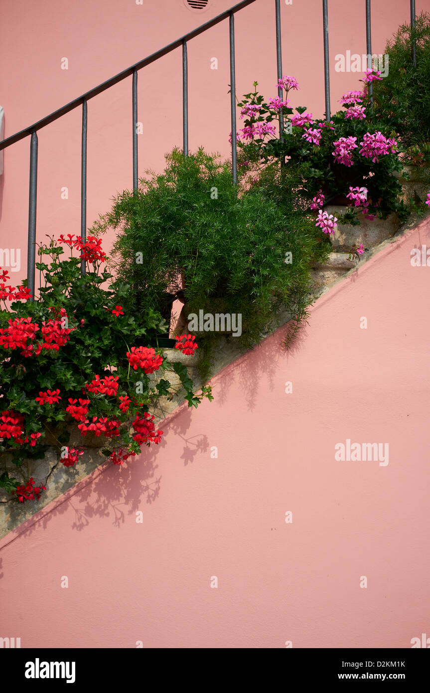 closeup of flowers sitting on steps, Limone Lake Garda Stock Photo