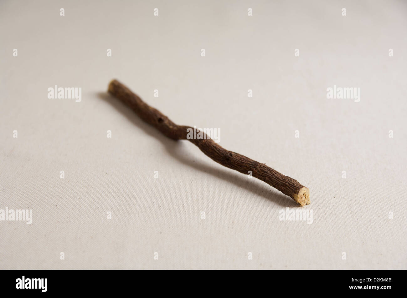 Close-up view of Licorice Root Stock Photo