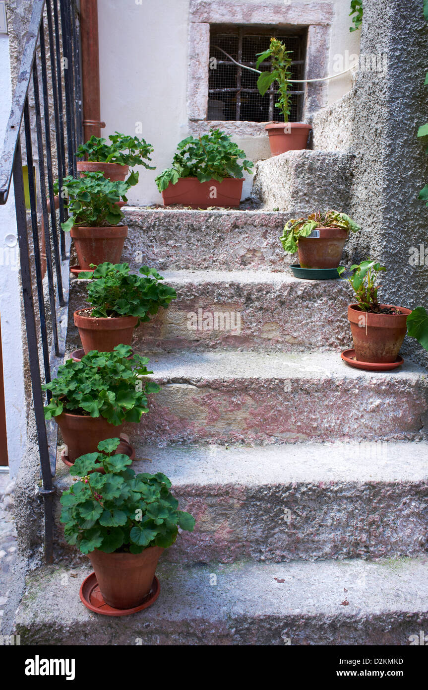Steps with small plants Malcesine, Lake Garda Italy Stock Photo