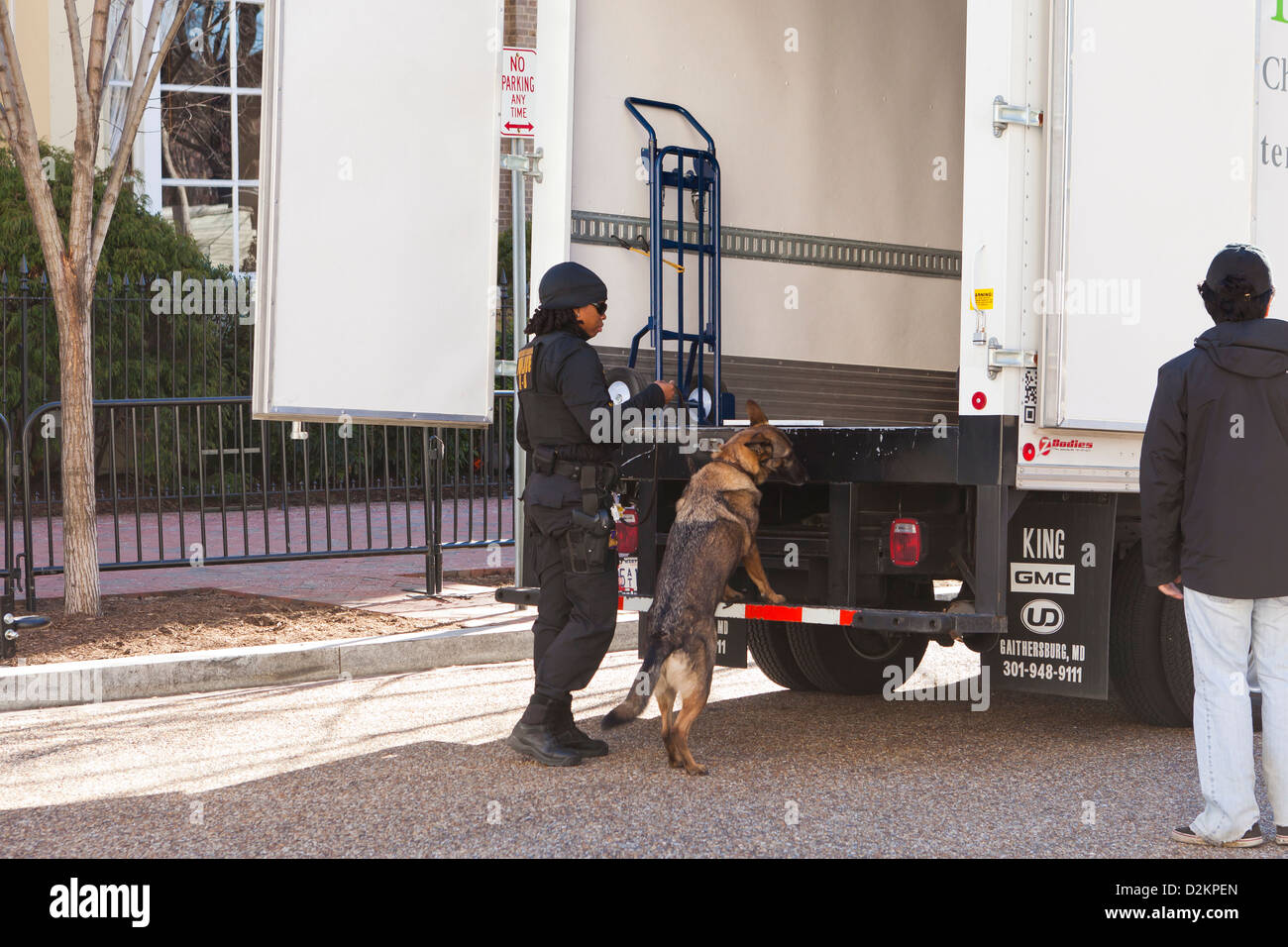 Bomb sniffing dog working at the back of a truck - Washington, DC USA Stock Photo