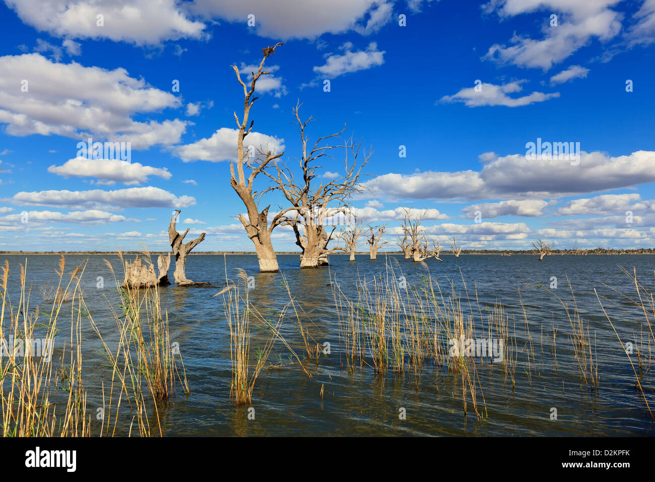 Pelican Point Lake Bonney Riverland South Australia Stock Photo Alamy