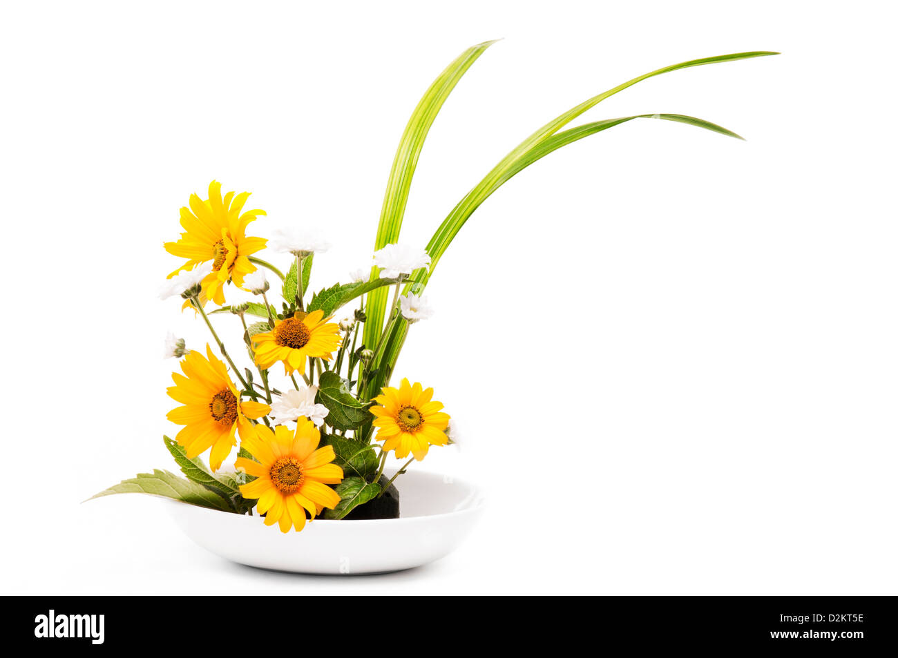 Japanese flower arrangement, ikebana Stock Photo