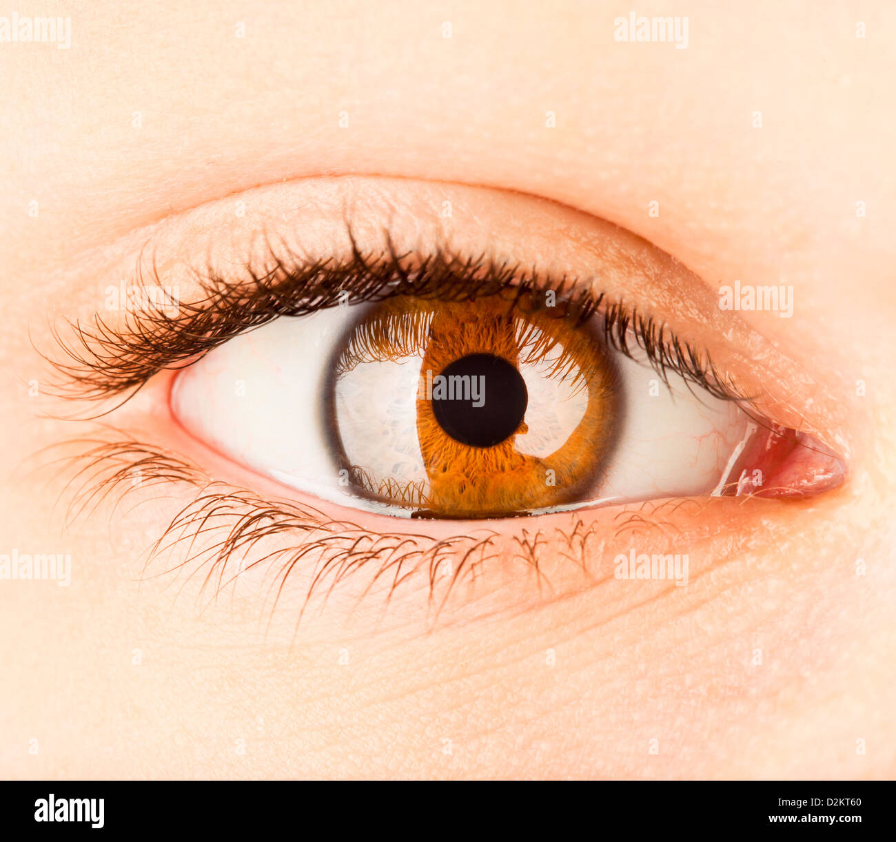 Eye of the person, a pupil photographed close up Stock Photo