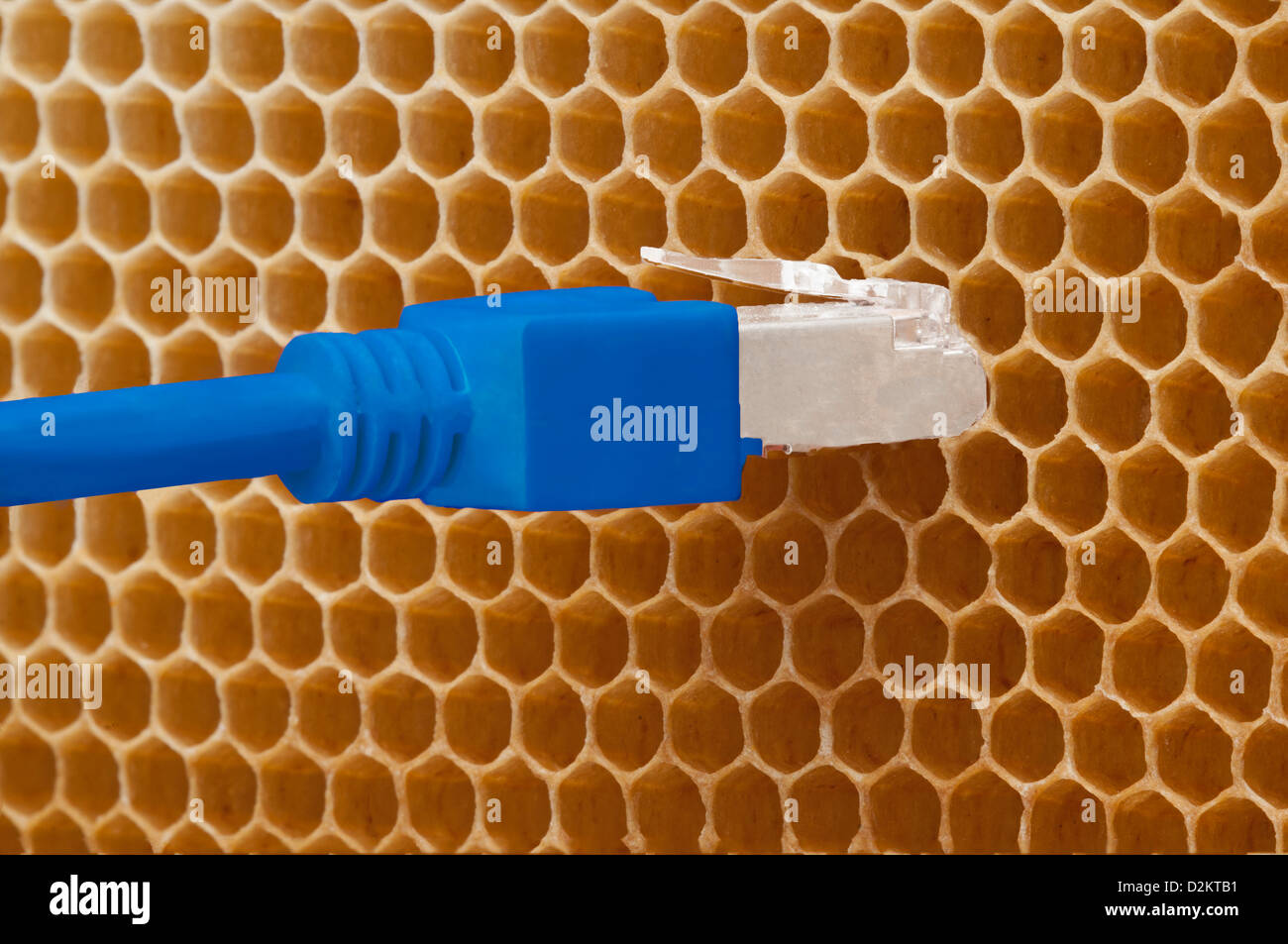Honey comb with ethernet LAN plug Stock Photo