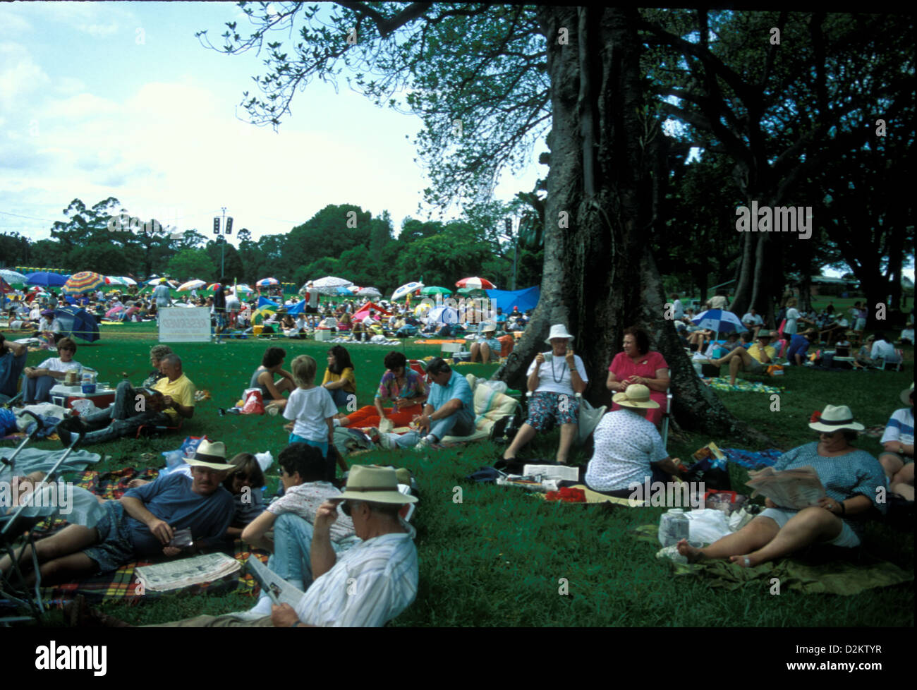 Summer evening in the Domain, Sydney, with crowd listening to open air concert, NSW, Australia Stock Photo