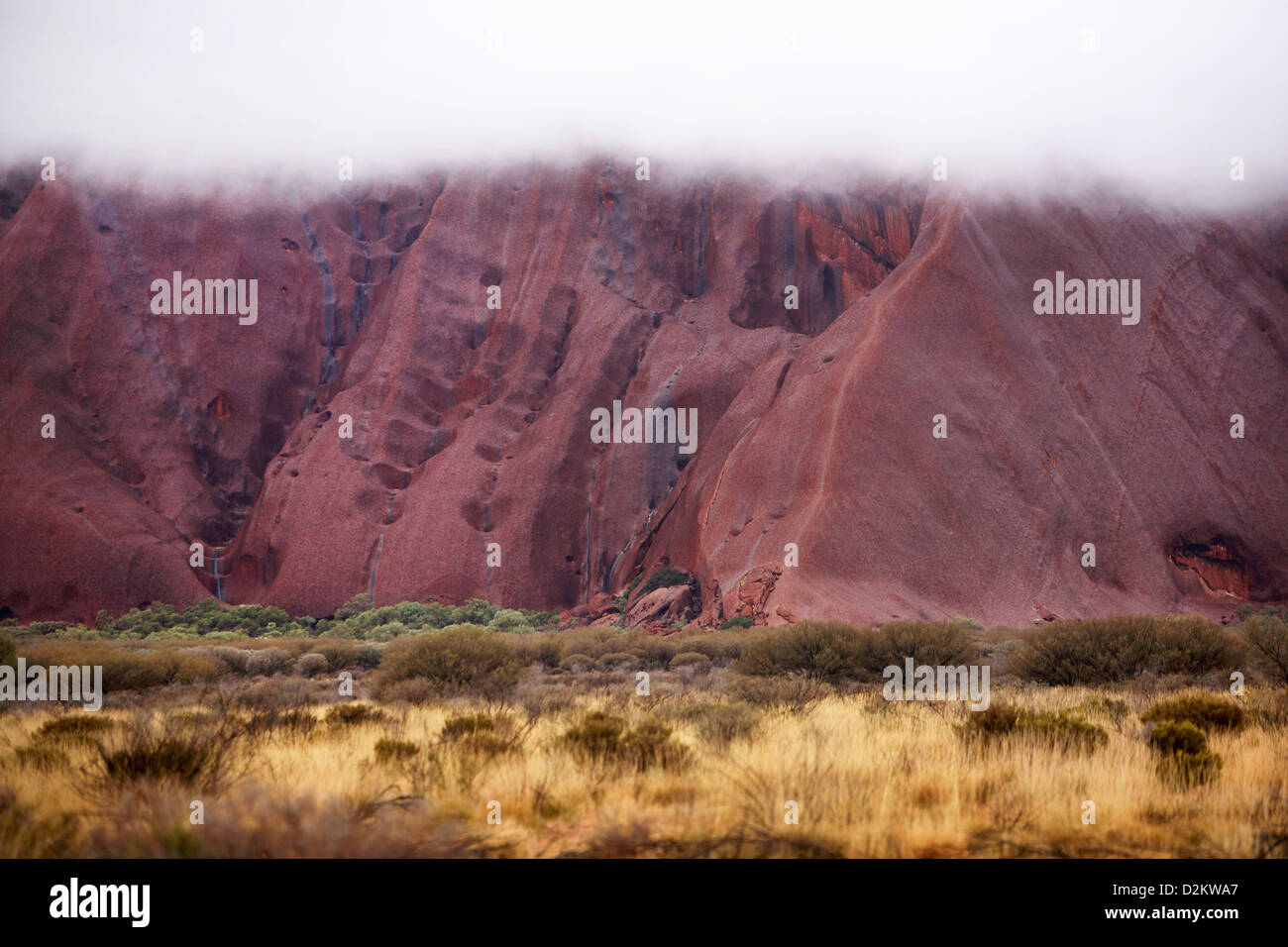 Very rare rain on Uluru (Ayers Rock), Central Australia. Stock Photo