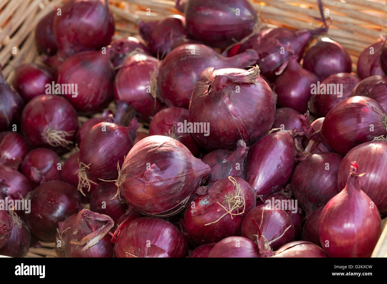 Basket full of onions Stock Photo Alamy