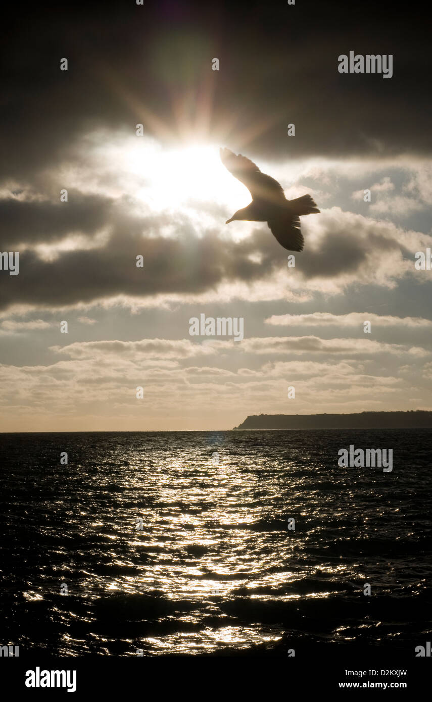 Flying into sun hi-res stock photography and images - Alamy