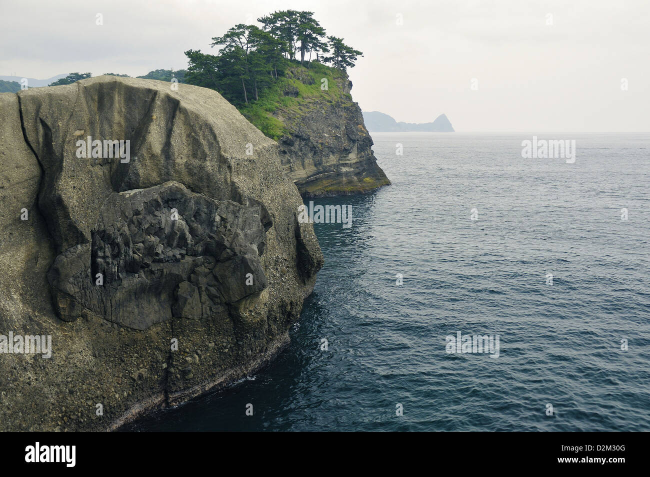 Huge rocks formation shoreline with scenic pine trees on the cliff top on Izu Peninsula in Japan Stock Photo