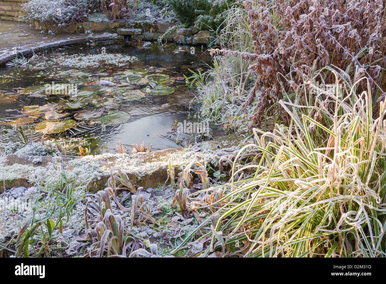 Garden pond winter hires stock photography and images Alamy