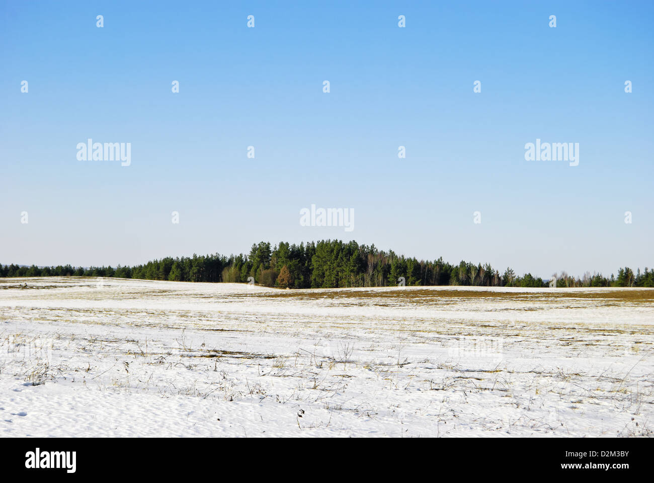 Spring landscape. European landscape in March: on fields snow starts to thaw Stock Photo