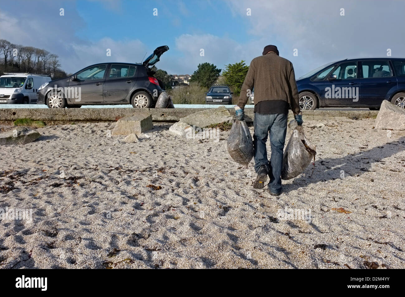 A man carries seaweed from a beach in Cornwall, UK Stock Photo
