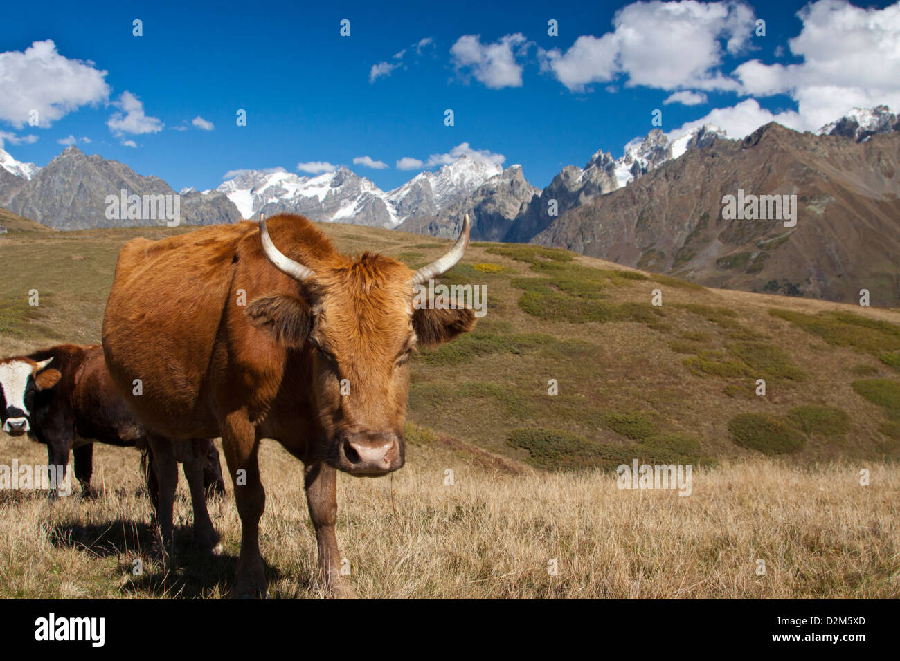 High plateu altitude hi-res stock photography and images - Alamy
