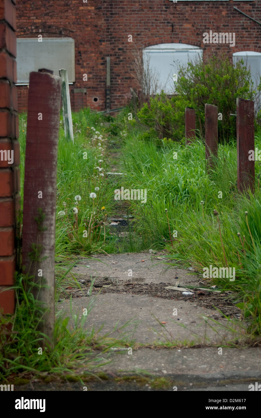 Path leading to  row of former colliery homes boarded up and ready for demolition at Pleasley, Mansfield, North Nottinghamshire. Stock Photo