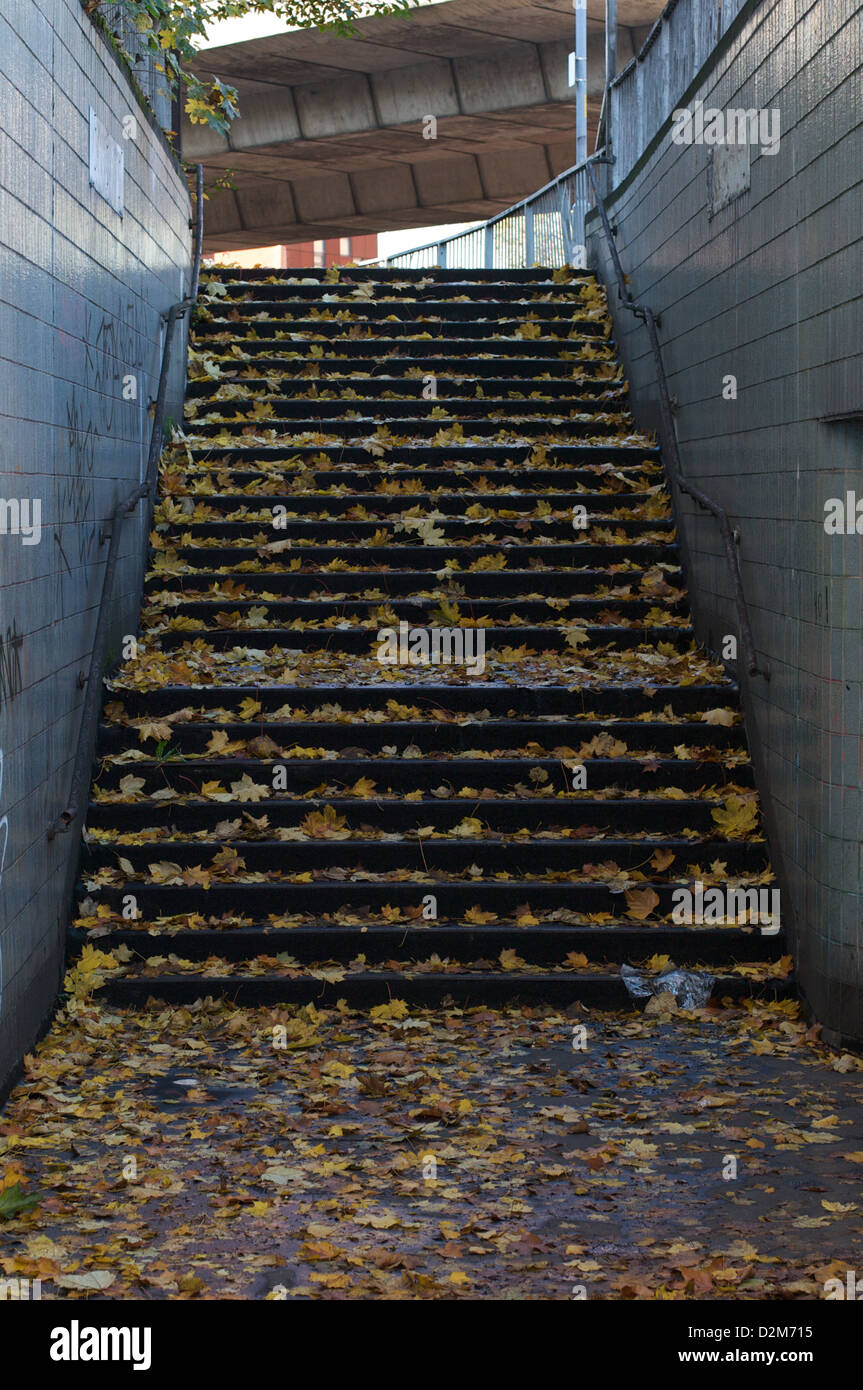 Steps of one of the Hulme subways covered in autumn leaves. The subway allows pedestrians to cross under the Mancunian Way. Stock Photo