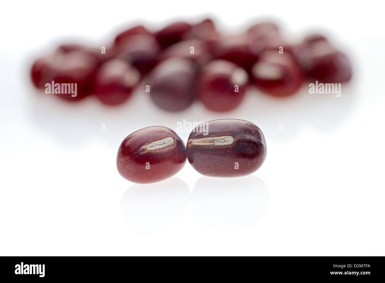 Adzuki Beans on seamless white background with shadow. Stock Photo