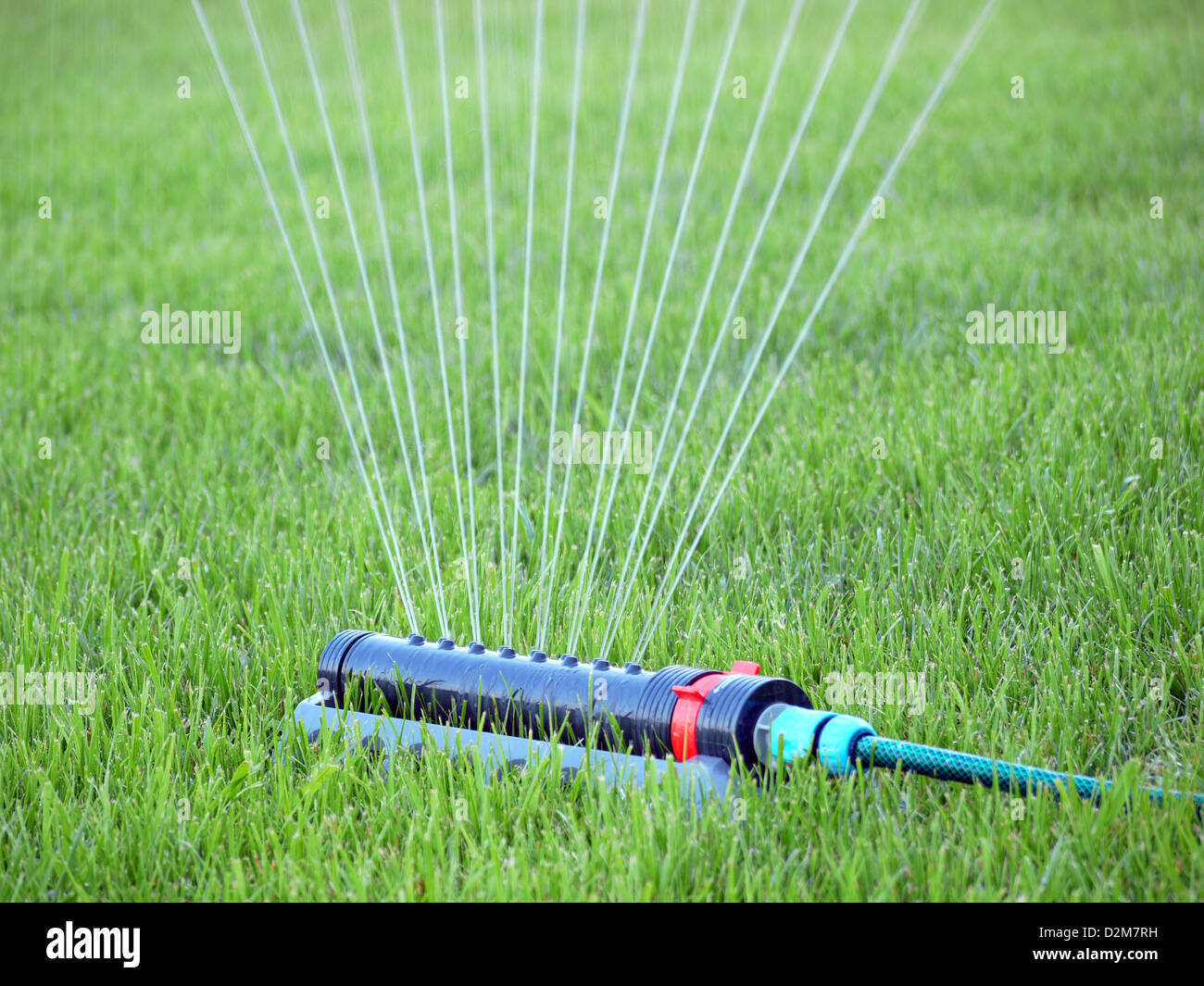 Lawn being irrigated by sprinkler Stock Photo