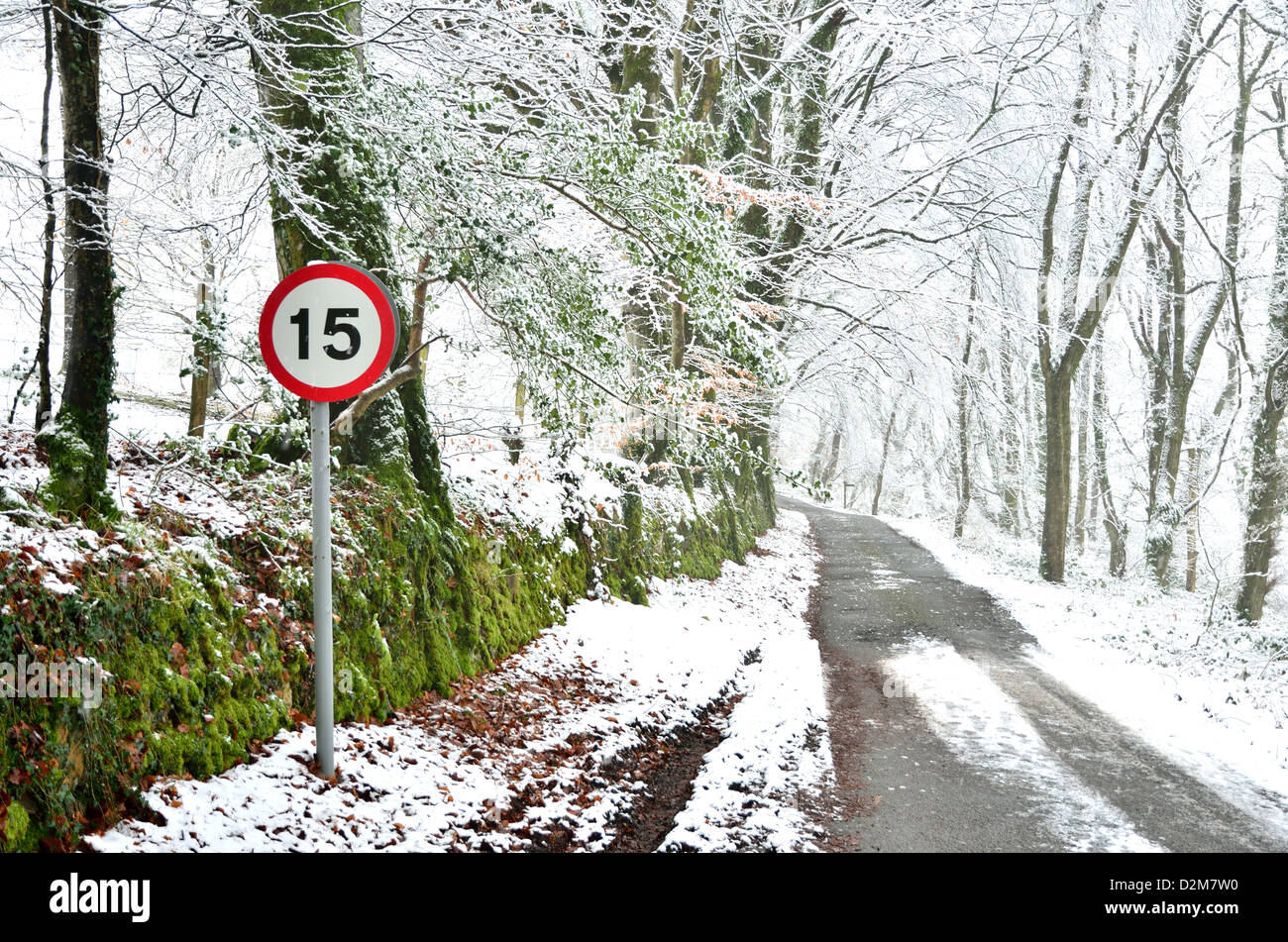 A snowy road leads through a snow covered wood. The snow highlights the green of the bank and the red of the road sign Stock Photo