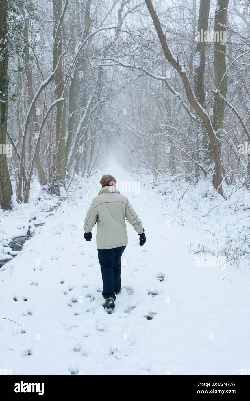 A woman walking along a path between trees in misty snowy woods in winter Stock Photo