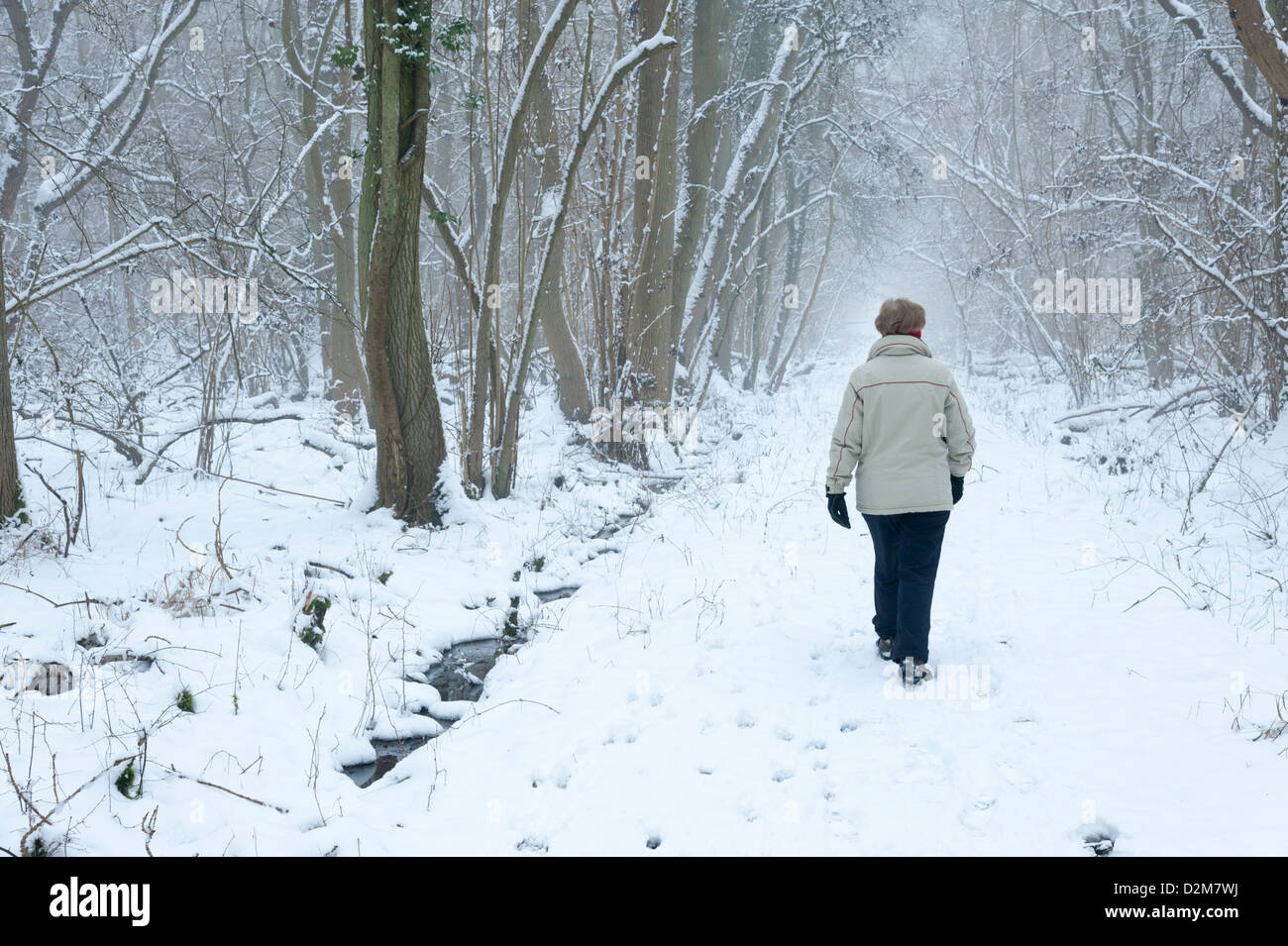 A woman walking along a path between trees in misty snowy woods in winter Stock Photo