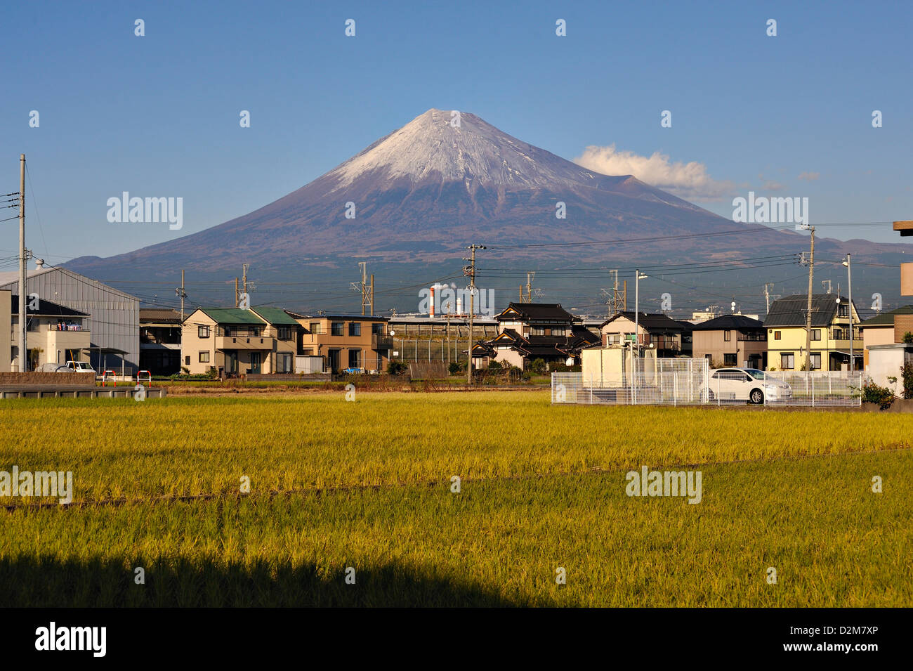 Mount Fuji seen from the suburbs of Fuji City, with rice fields and homes. Stock Photo