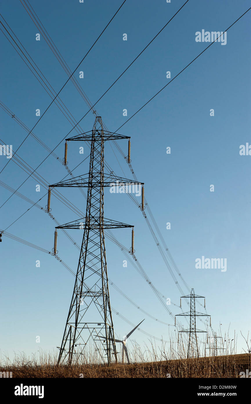 Where can I buy a pylon for home 35 Where can I buy a pylon for home 74