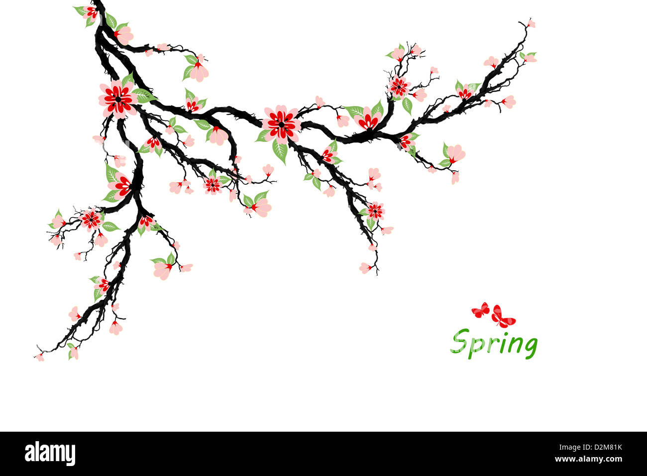 Spring cherry blossom tree isolated on white background Stock Photo - Alamy