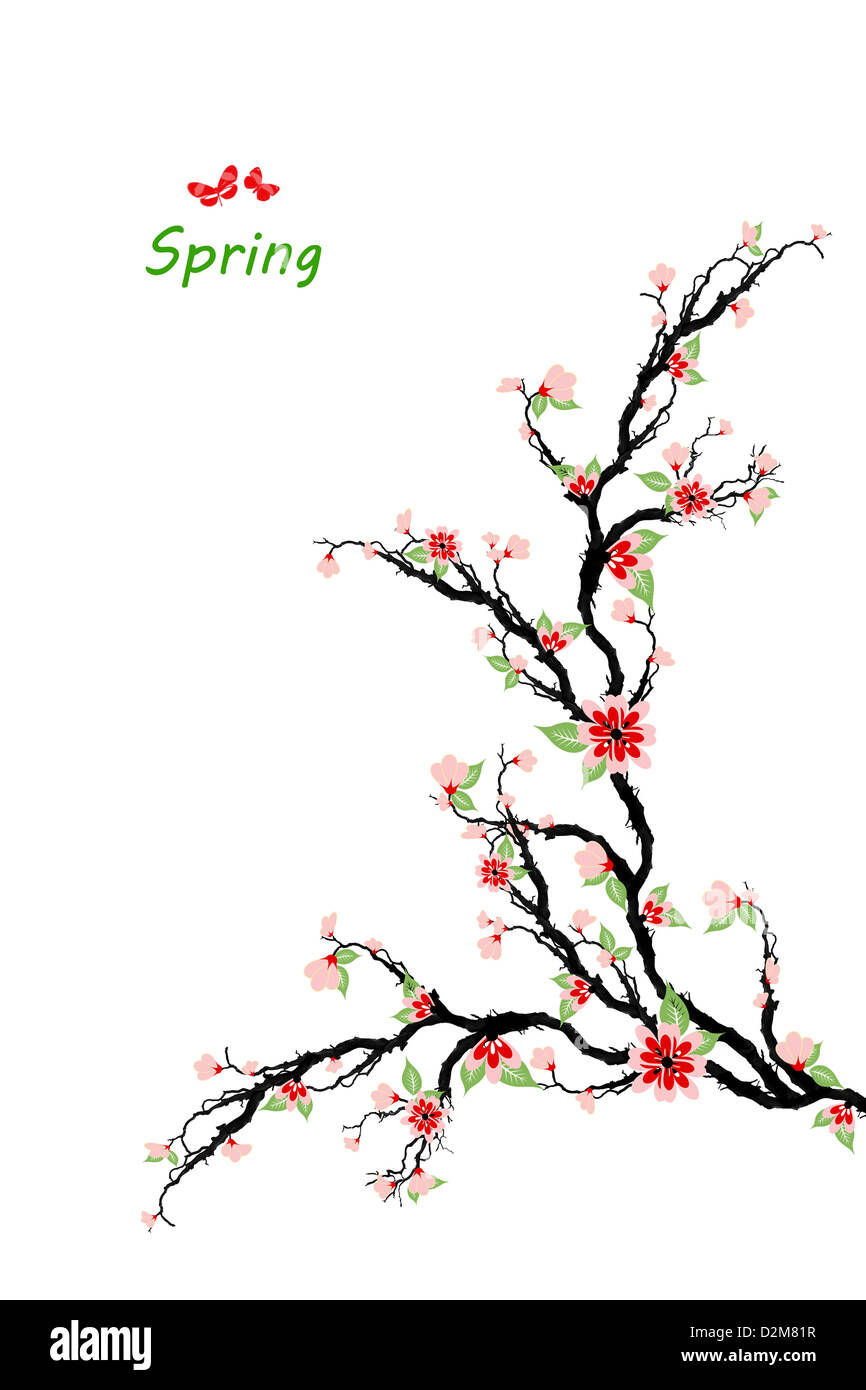 Spring cherry blossom tree isolated on white background Stock Photo - Alamy