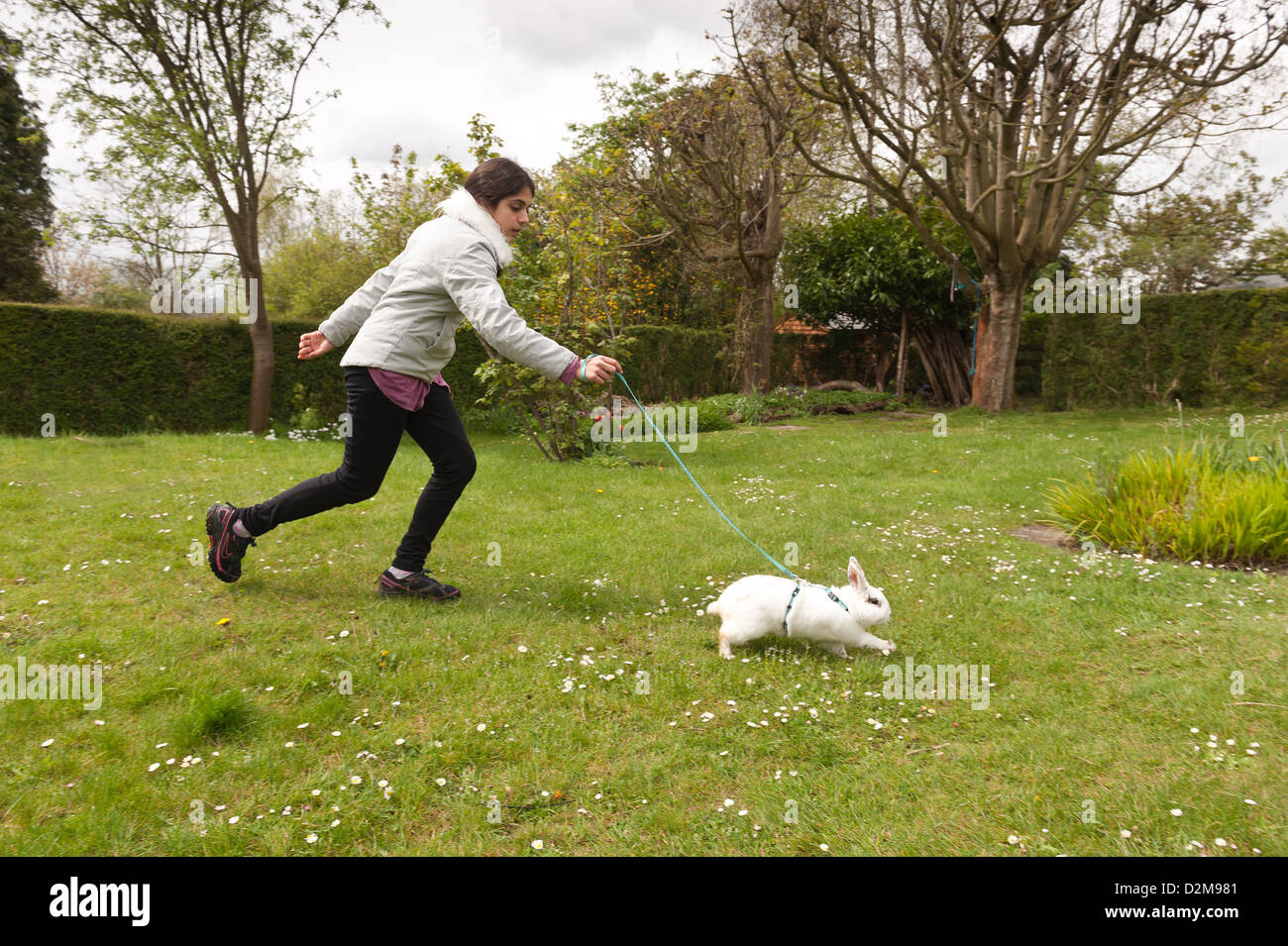 Walking A Rabbit