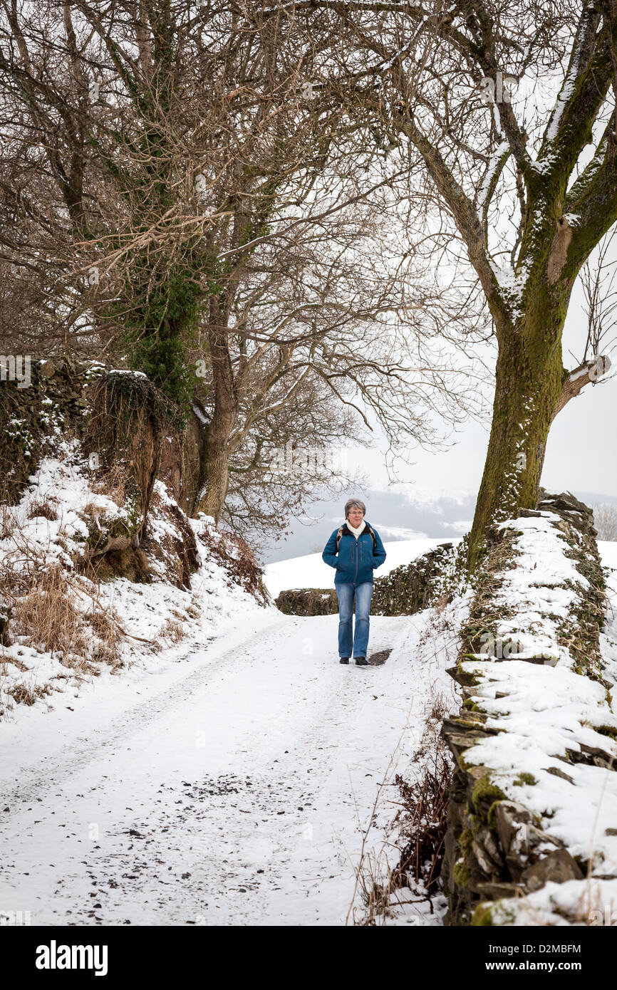 View walking winter woman hi-res stock photography and images - Alamy