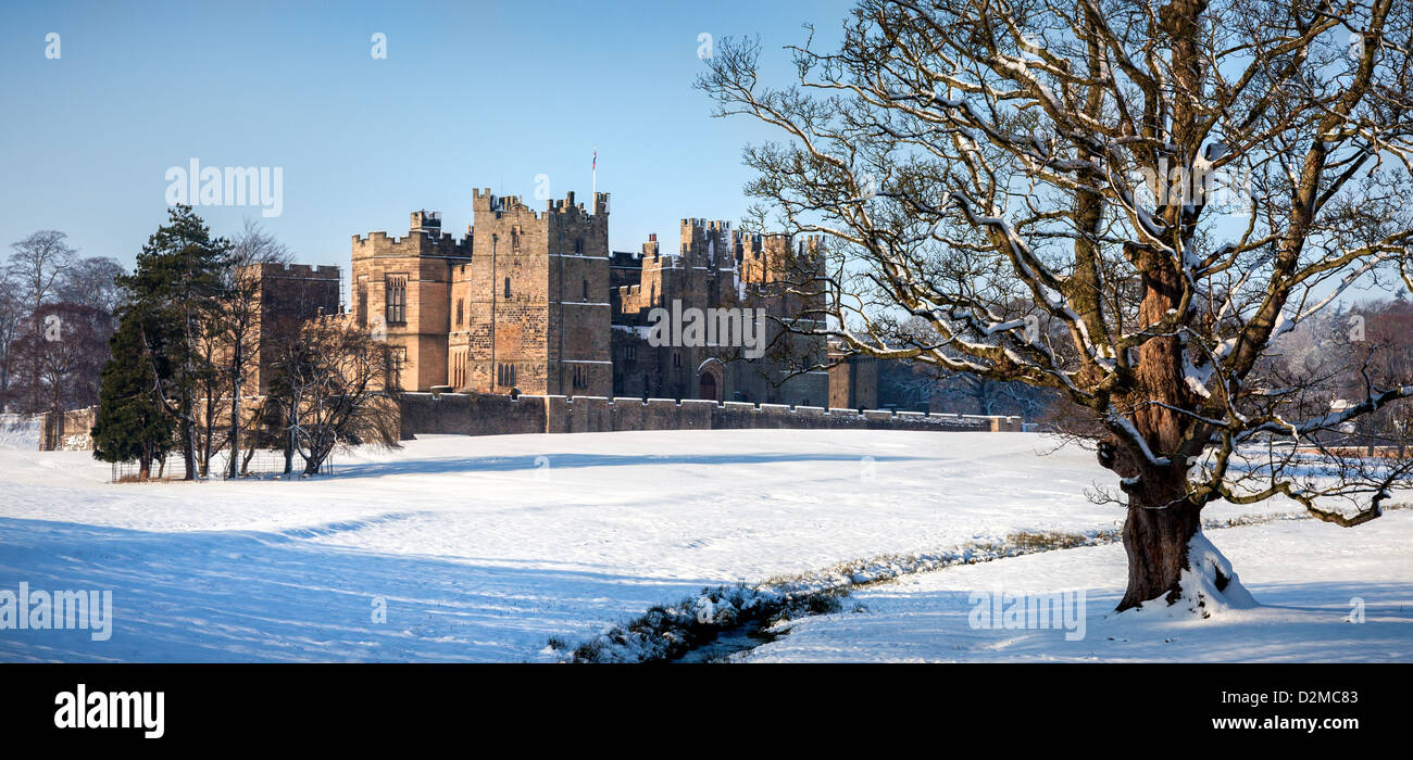 Raby Castle, Staindrop Darlington Durham England. Wintery panoramic view of stunning Mediaeval Castle and park lands. Stock Photo