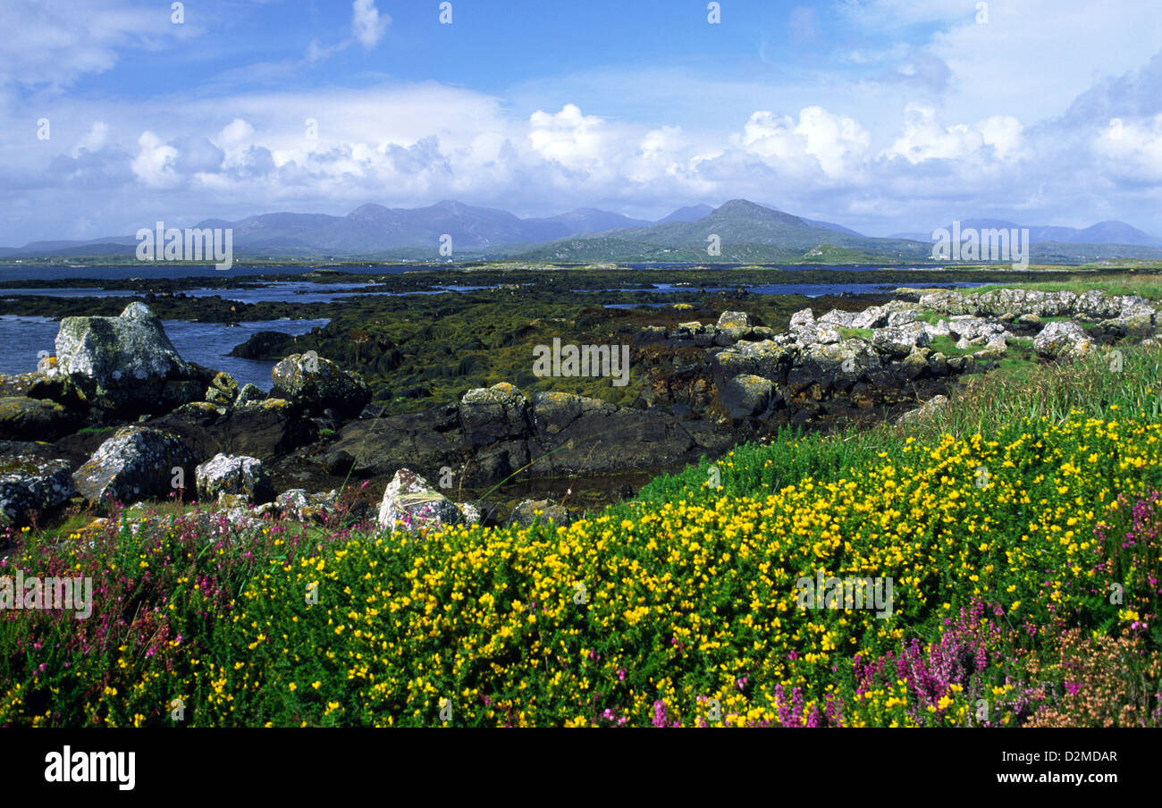 The stunning landscape of Connemara, County Galway, Ireland, with the Twelve Bens in the distance. Stock Photo