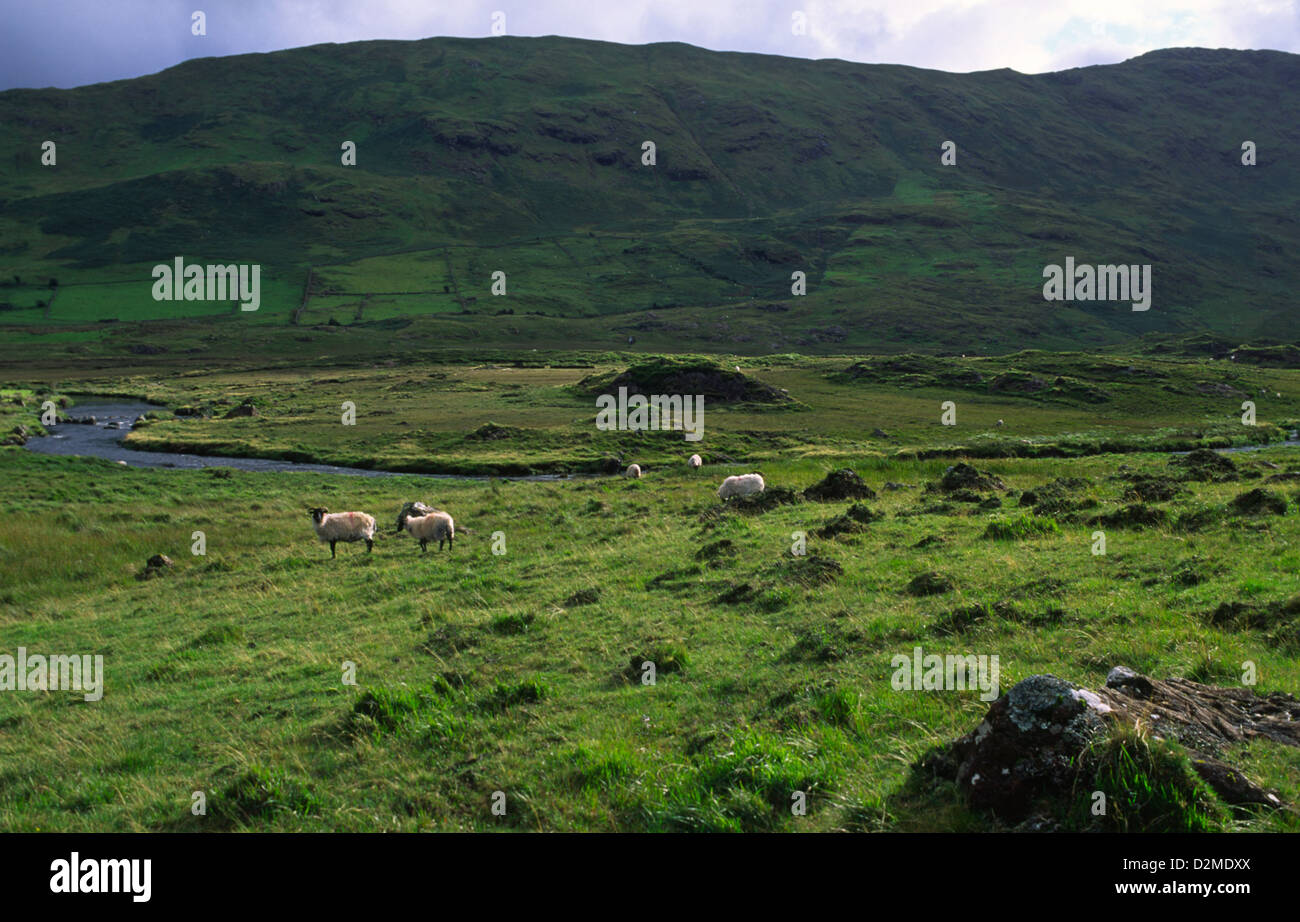 The stunning landscape of Joyce Country, Connemara, County Galway, Ireland. Stock Photo