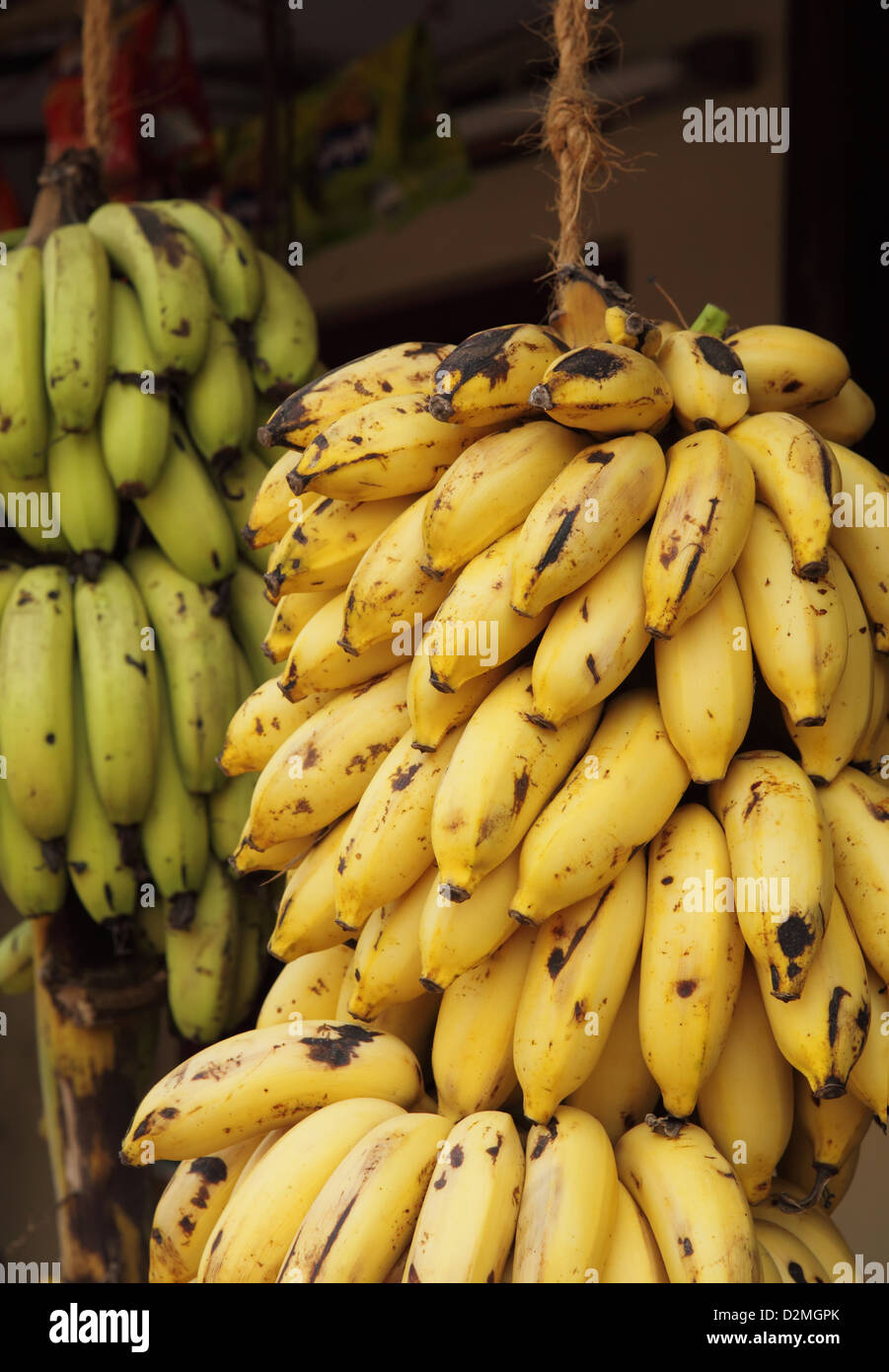 Kerala banana hires stock photography and images Alamy
