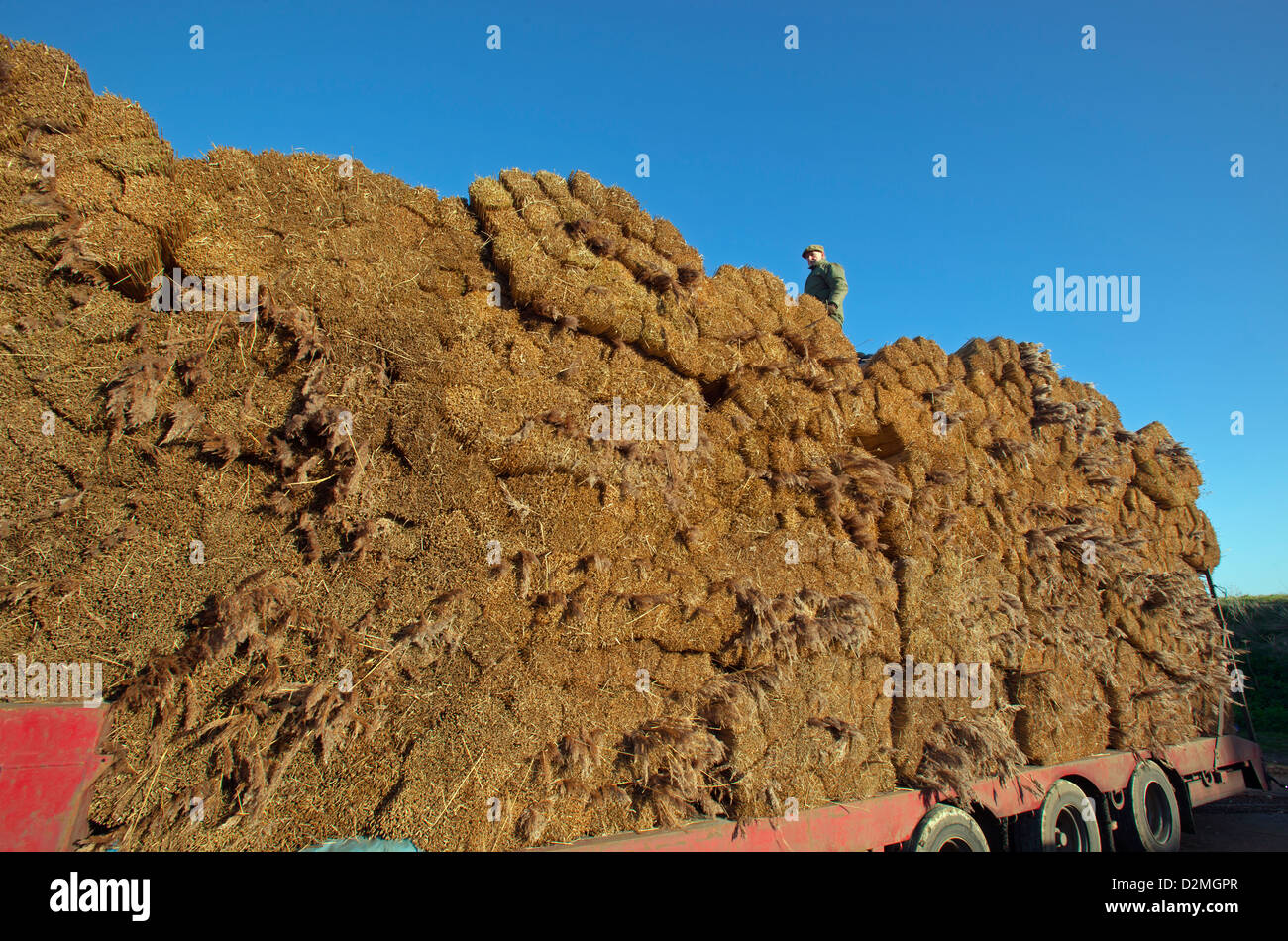Loading lorry hi-res stock photography and images - Alamy