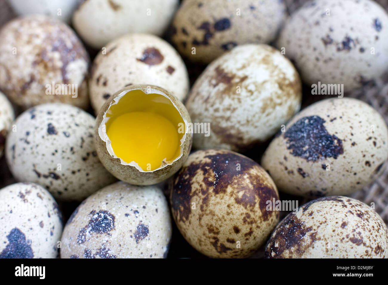 Fish Eggs Macros at Betty Mazzarella blog