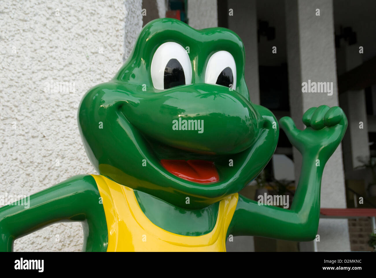 Senior Frog,Mazatlan, Mexico. Stock Photo