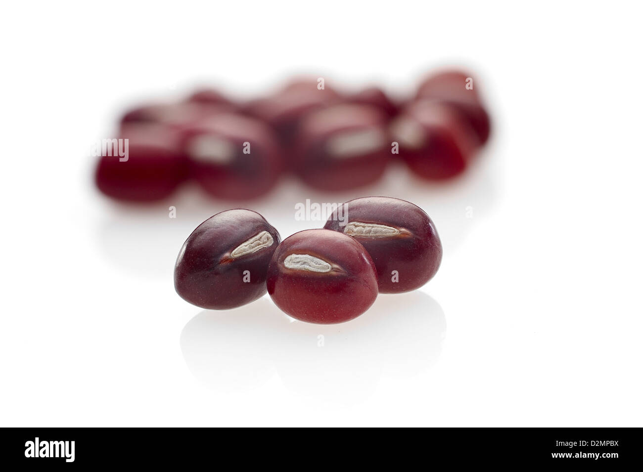 Adzuki Beans on seamless white background with shadow. Stock Photo