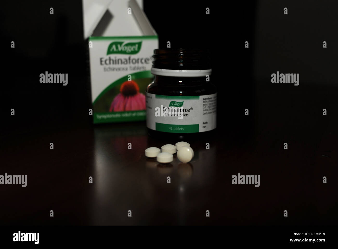 Echinaforce Echinacea tablets a natural remedy to help cure colds and