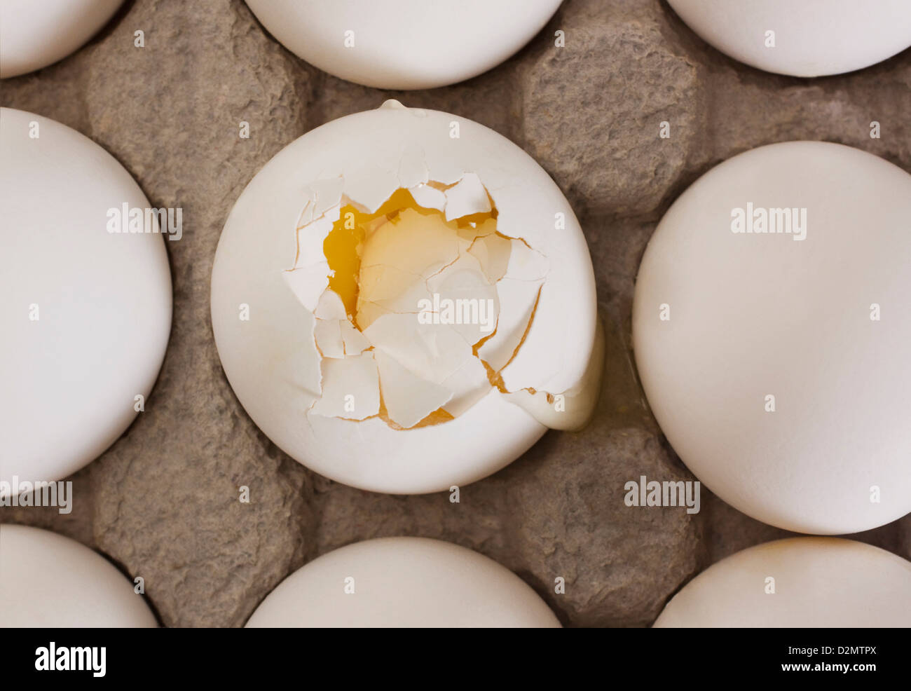 Broken egg in a carton with other eggs Stock Photo Alamy