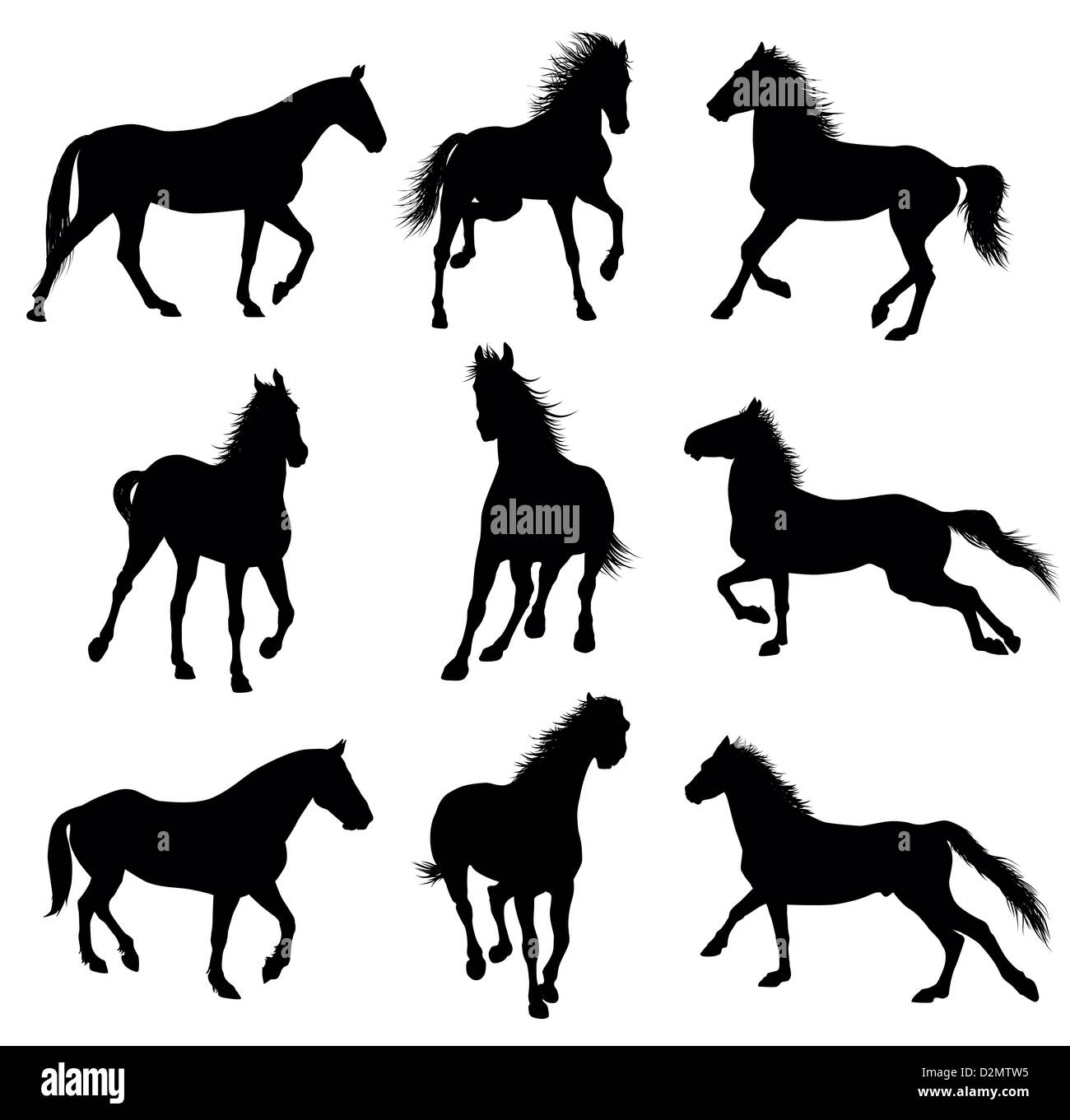Running horses detailed silhouettes. set. Vector eps 8 Stock Photo Alamy